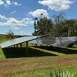 Fazenda Rebeca Azambuja - Rochedo/MS